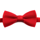 Gravata Ajustável Para Cachorros e Gatos- OFERTA