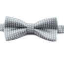 Gravata Ajustável Para Cachorros e Gatos- OFERTA