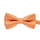 Gravata Ajustável Para Cachorros e Gatos- OFERTA