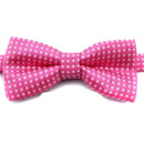 Gravata Ajustável Para Cachorros e Gatos- OFERTA